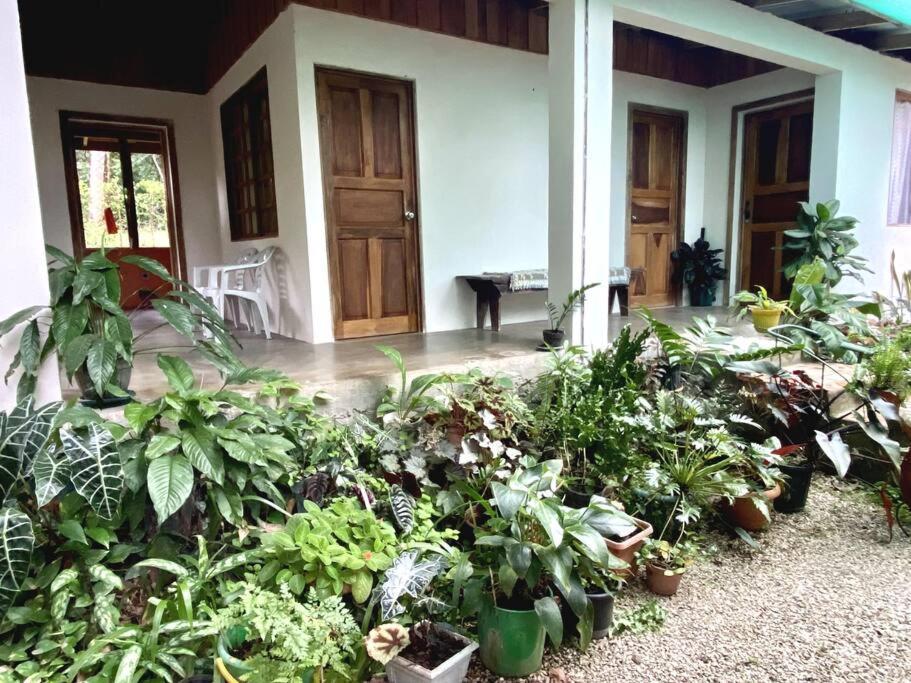 Casa Briza Konuk evi Nicoya Dış mekan fotoğraf