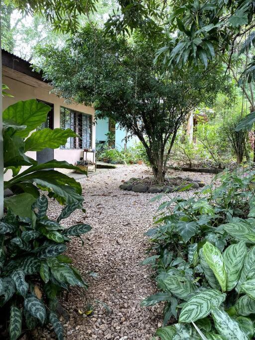 Casa Briza Konuk evi Nicoya Dış mekan fotoğraf